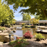 Jaguar XK150S von 1958 Portalhamburg