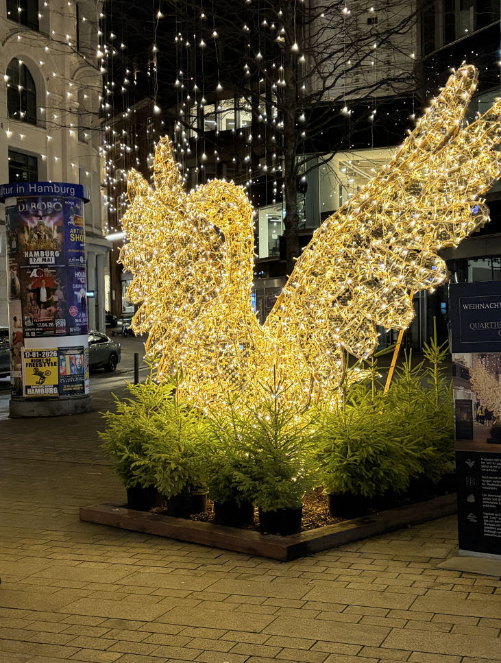 Weihnachtsmarkt Hamburg Rathaus Markt - jungfernstieg - Gänsemarkt