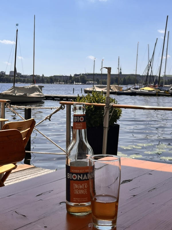 Die Alster in Hamburg – vom Mühlenteich zum vielleicht schönsten Wohnzimmer der Stadt