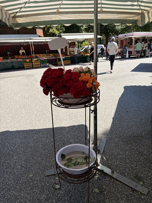 Wochenmarkt Turmweg Hamburg – der Markt, auf dem man eigentlich nur Tomaten kaufen wollte und zum Mittagessen bleibt