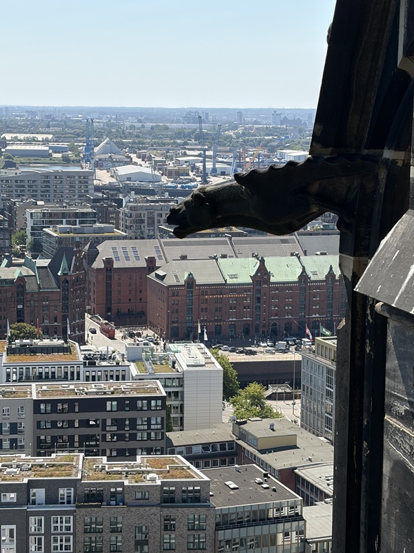 St. Nikolai Hamburg – Ruine, Aussichtsturm & die große Zukunft bis 2028